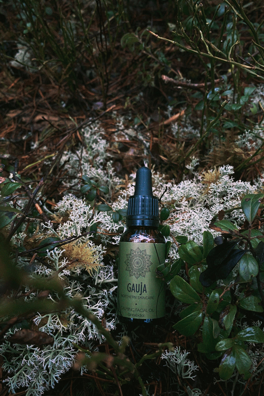 Nomierinoša sejas eļļa