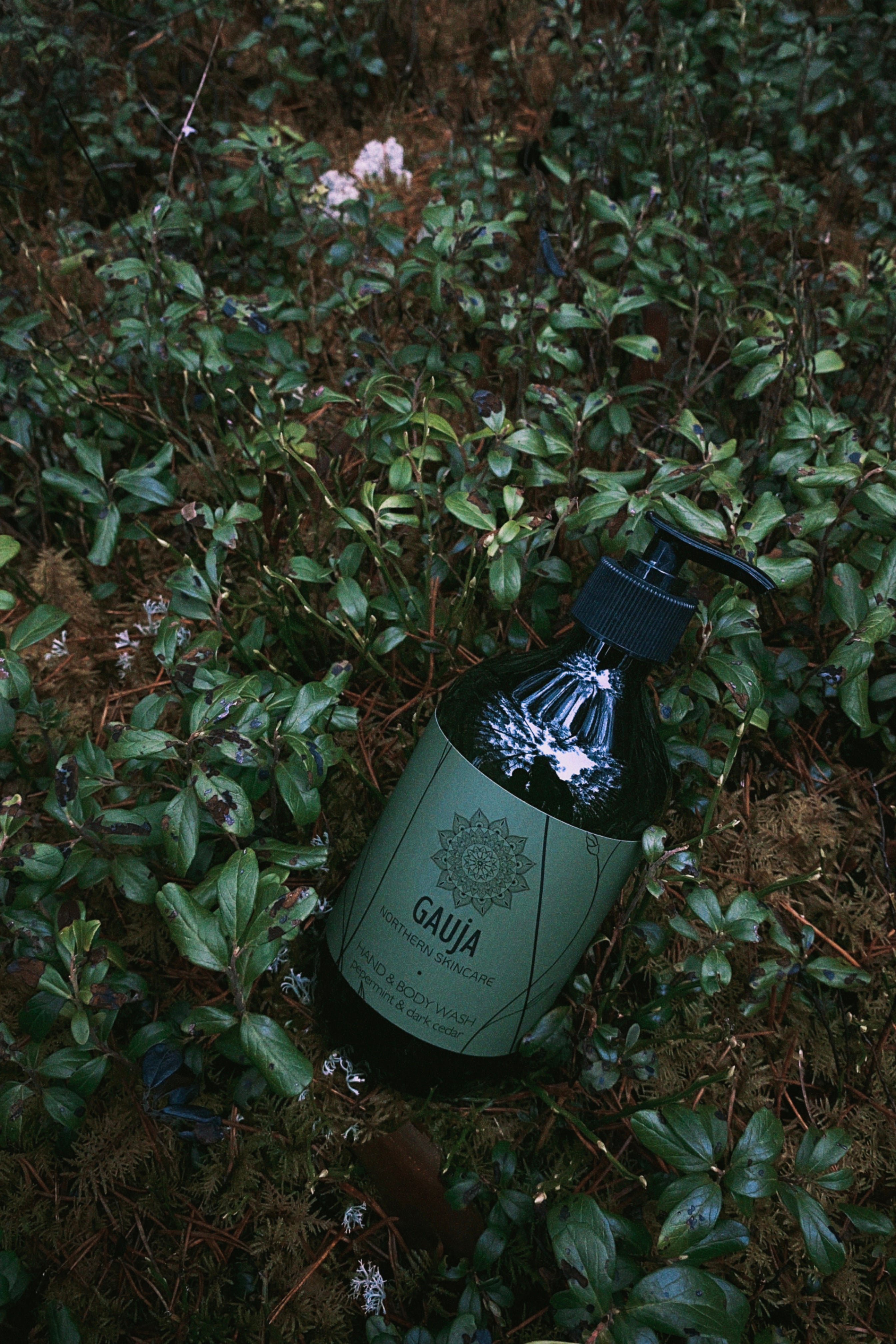 Roku un ķermeņa ziepes