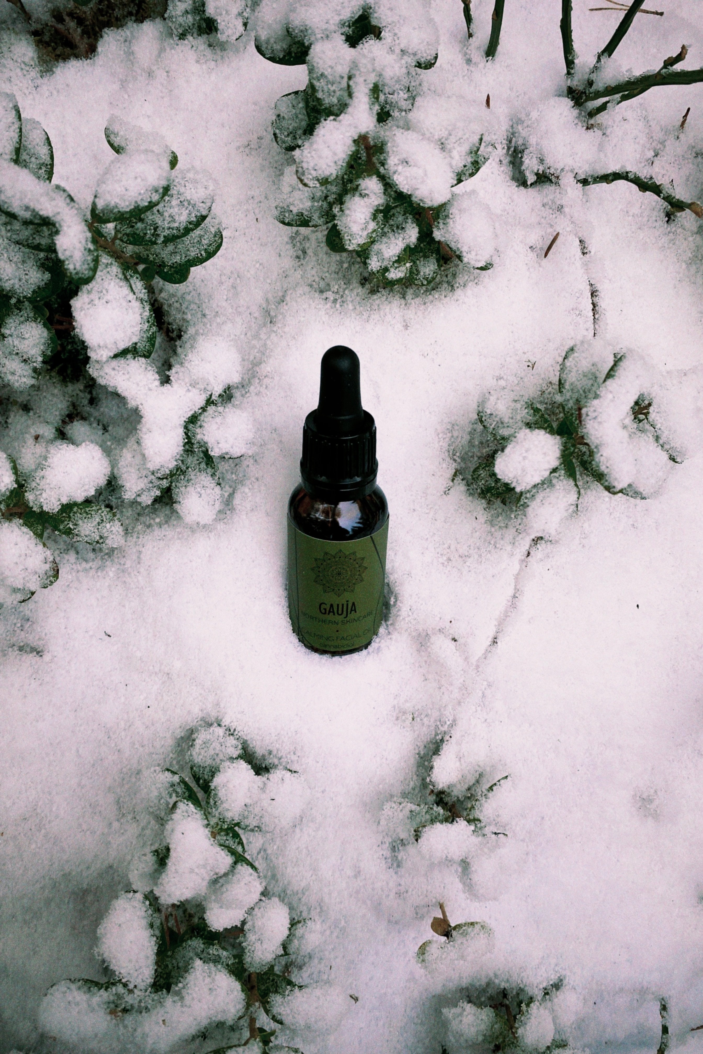 Nomierinoša sejas eļļa